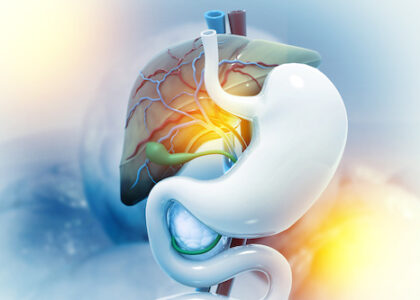 Anatomy of Liver stomach pancreas and gallbladder on medical background. Human digestive system. 3d illustration